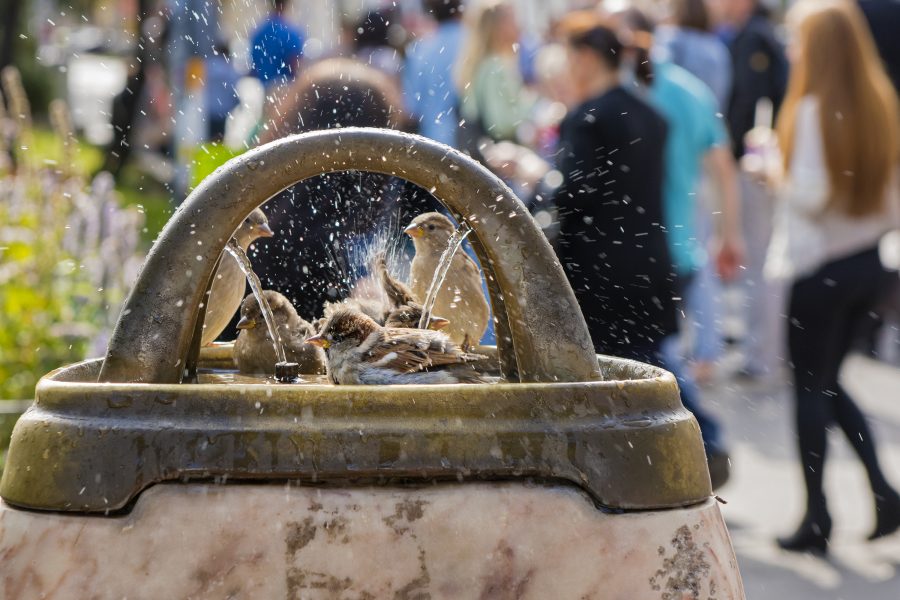 Brunnen Reumannplatz (c) Verena Popp-Hackner