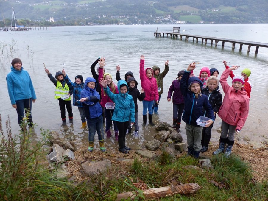 Lernen und Experimentieren am Mondsee – Oberösterreich (2017)