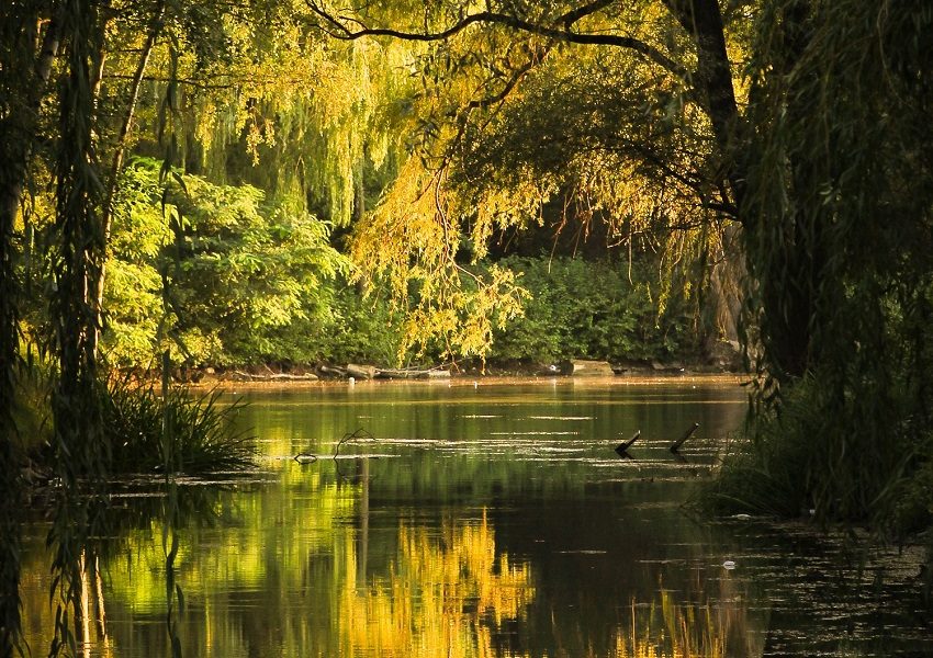 Wasserpark Floridsdorf