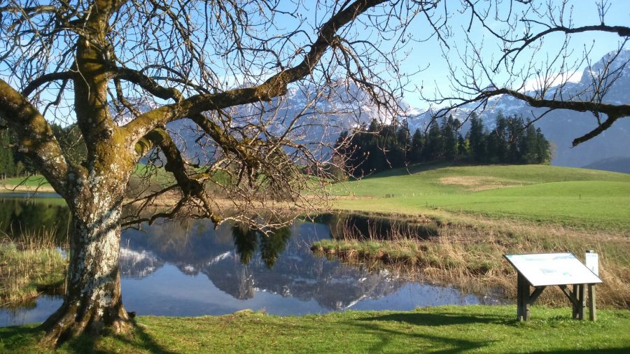 Abtenau (Salzburg): Wasser vielfältig erleben