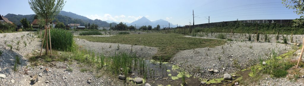 Rückhaltebecken Gerbergraben (c) Pano