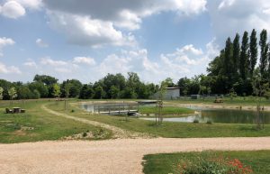 Natur-Pur Biotop Wöllersdrof-Steinabrückl