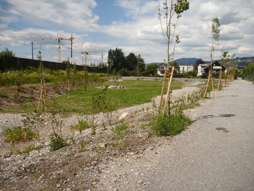 Dornbirn (Vorarlberg): Hochwasserschutz Gerbergraben