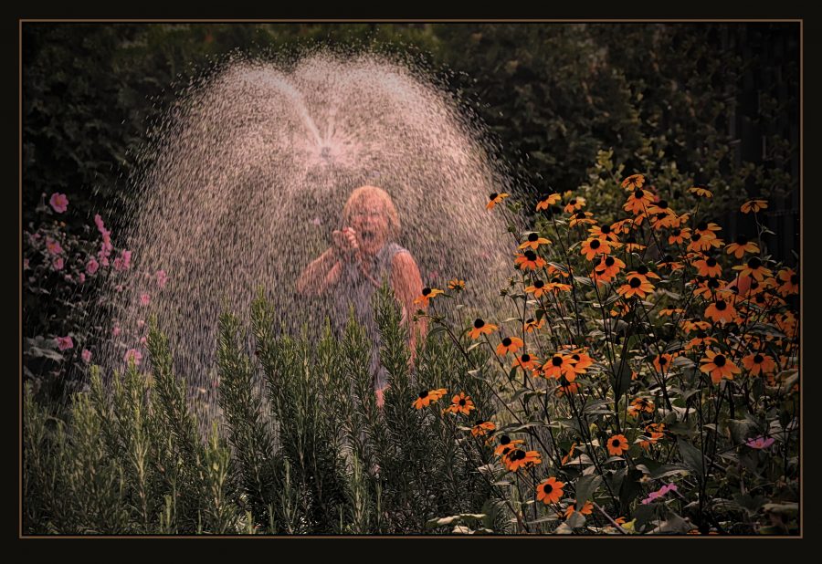 Herrliches Wiener Wasser – Gartenfreude