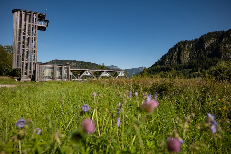 Walchsee (Tirol) – Moorlandschaft Schwemm