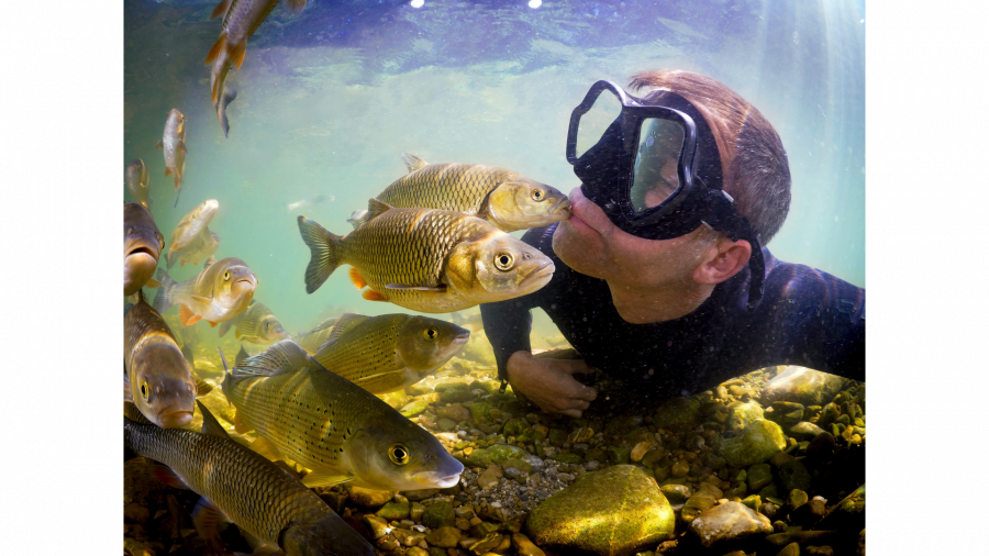 Neptun Staatspreis für Wasser 2027: Auf zu neuen innovativen Projekten